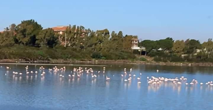 Turismo Rurale Pertunghe Villa Sant' Antonio di Santadi ภายนอก รูปภาพ